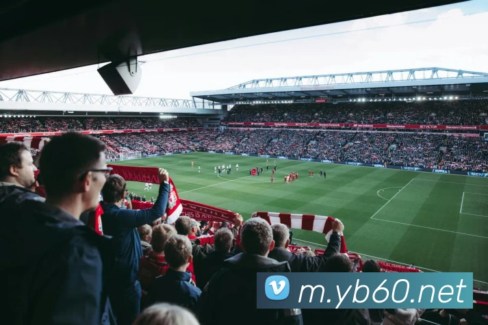 多媒体互动体验